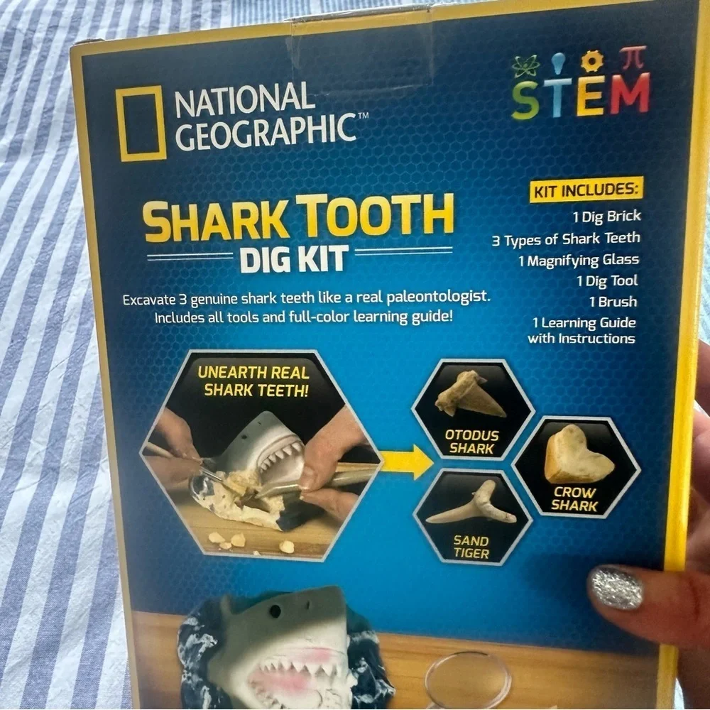 Shark Tooth Dig Kit - Picture 3 of 6